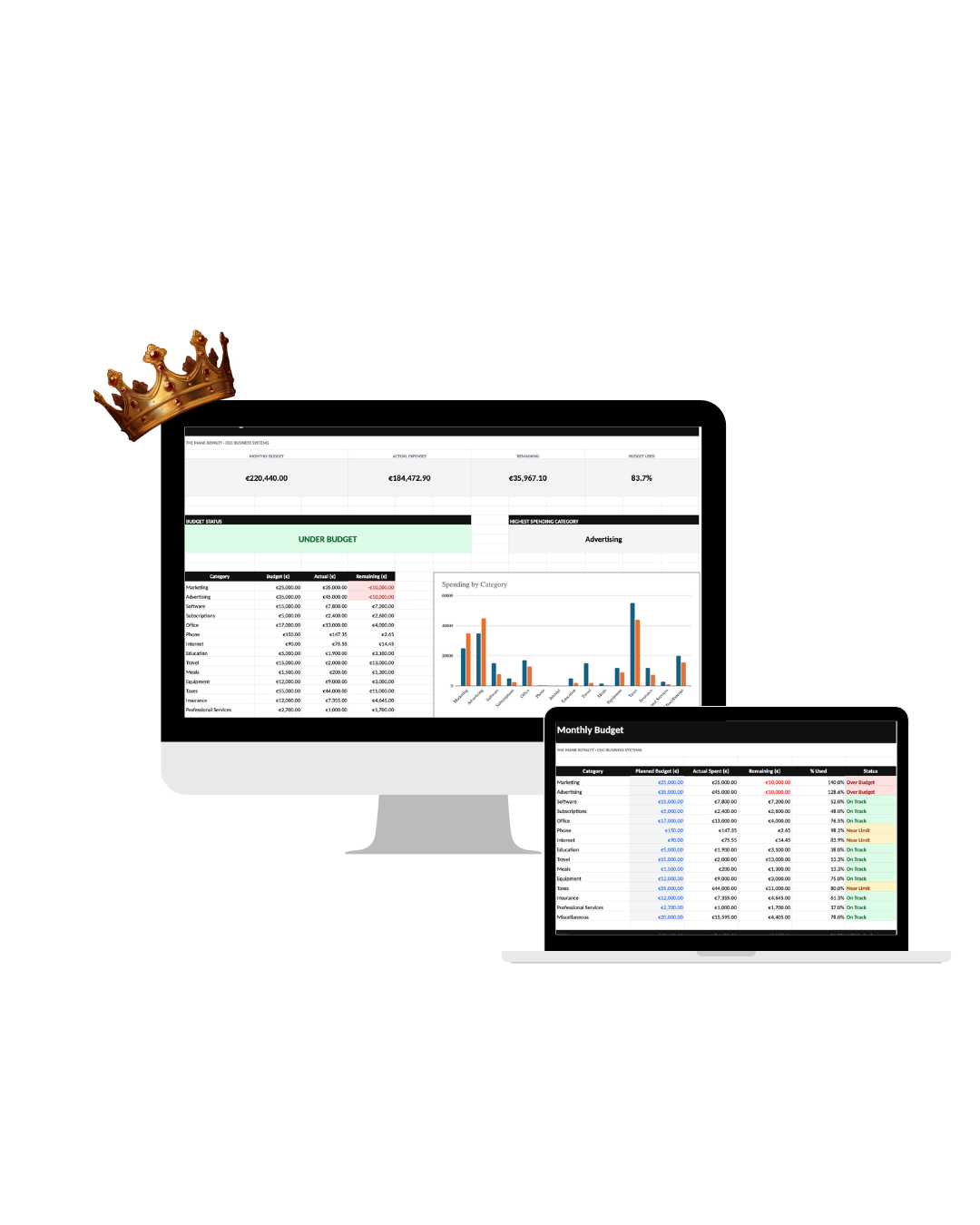 CEO Business Systems