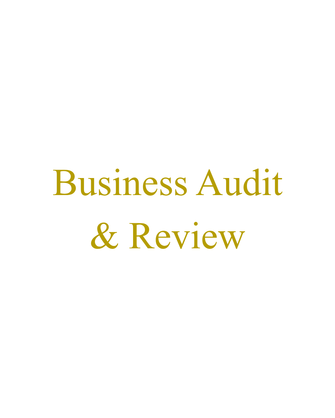 Business Audit & Review