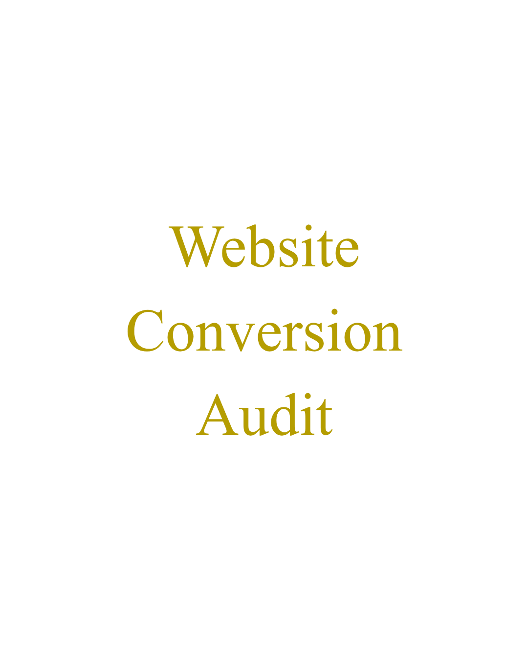 Website Conversion Audit