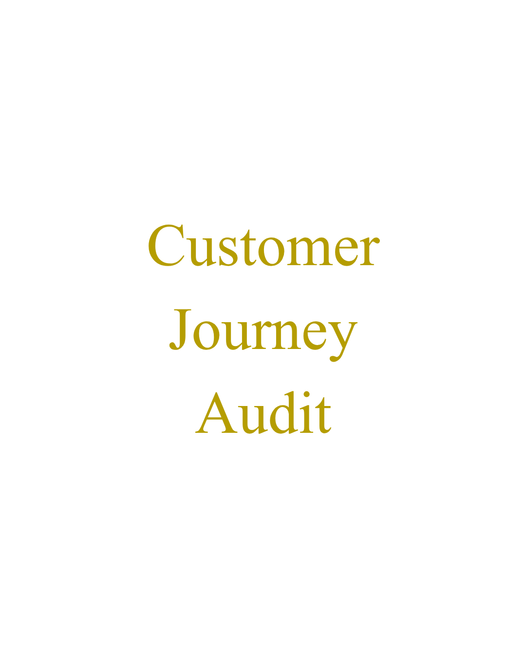 Customer Journey Audit