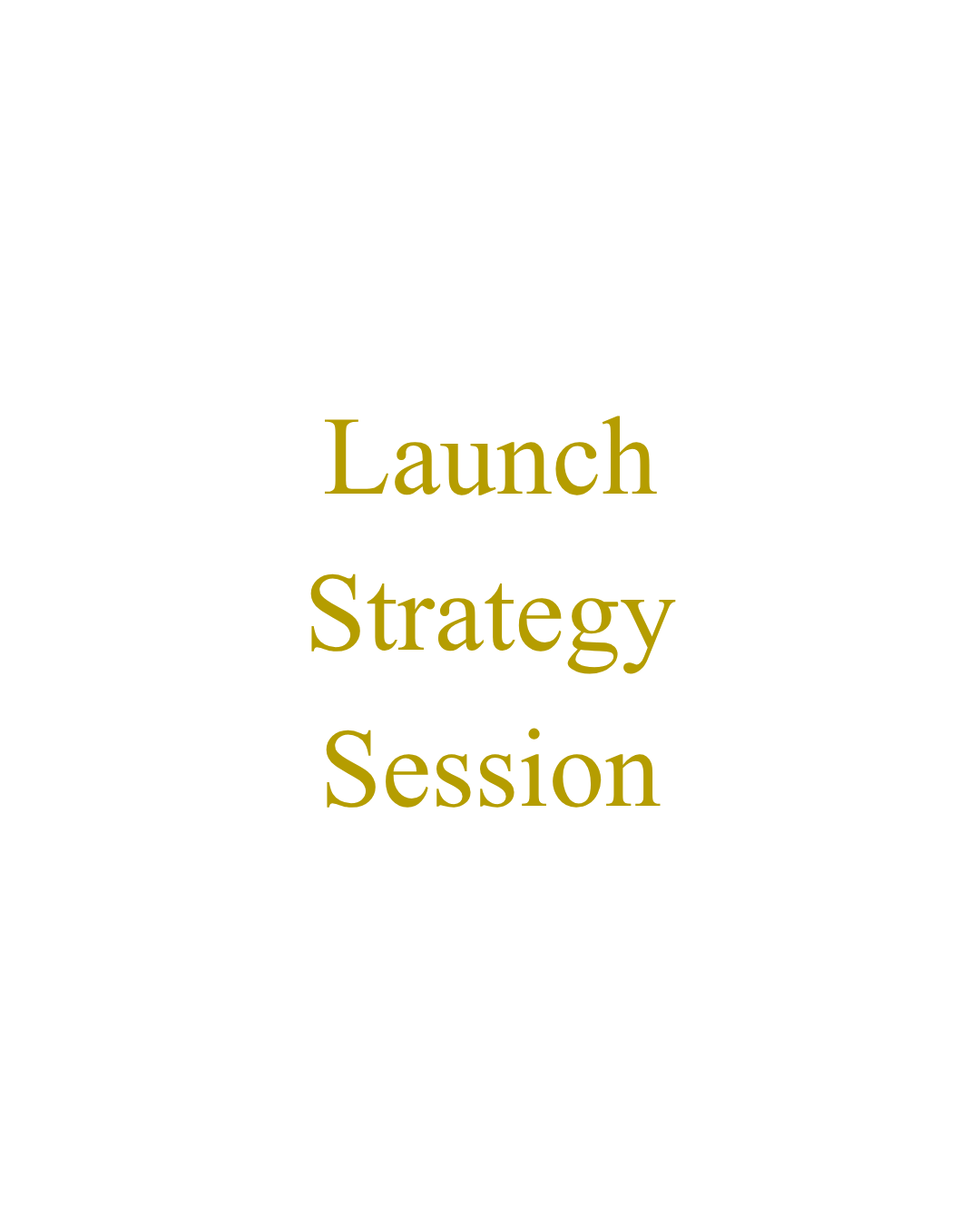 Launch Strategy Session