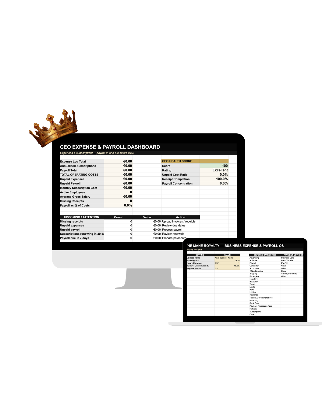 CEO Expense & Payroll Dashboard