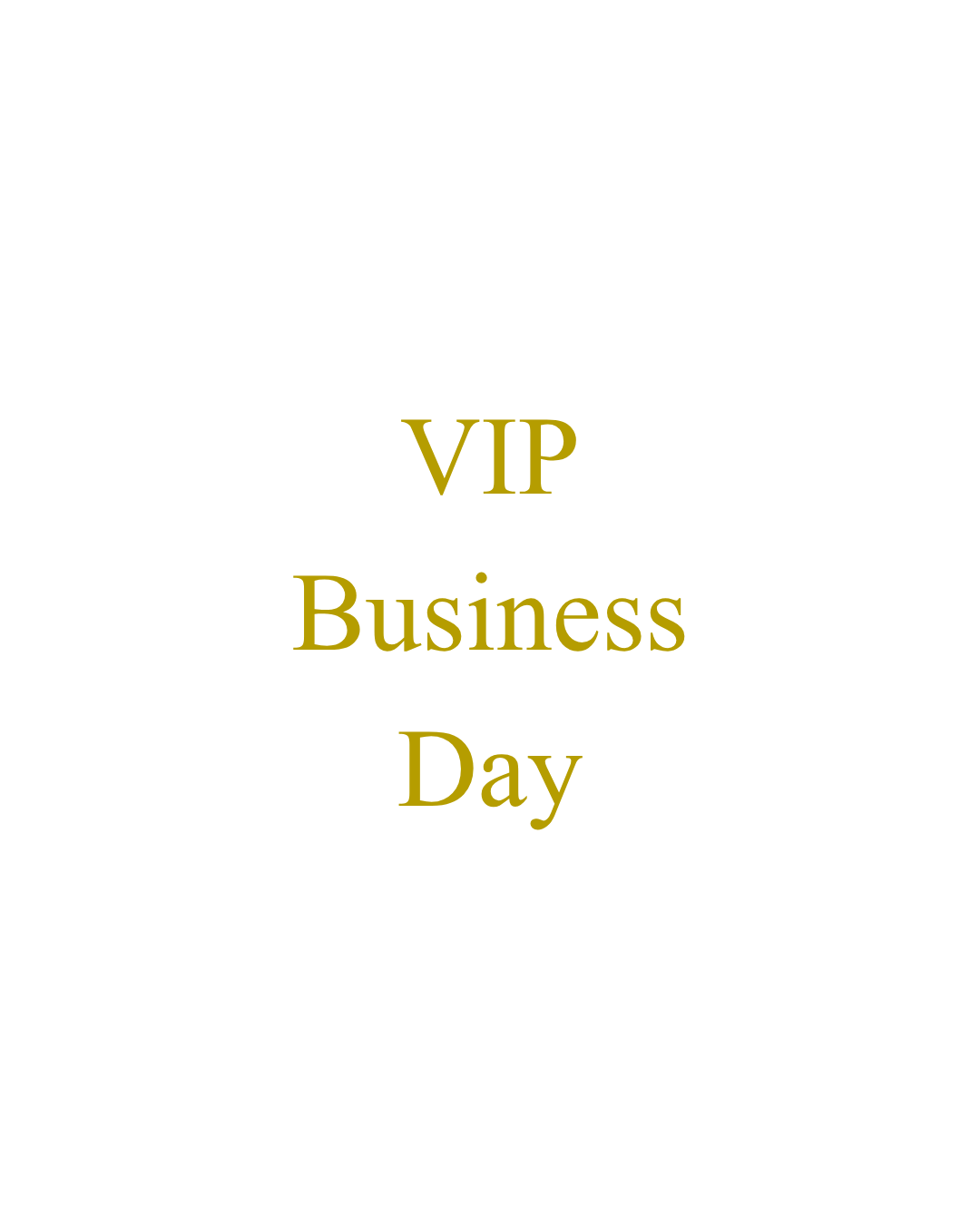VIP Business Day