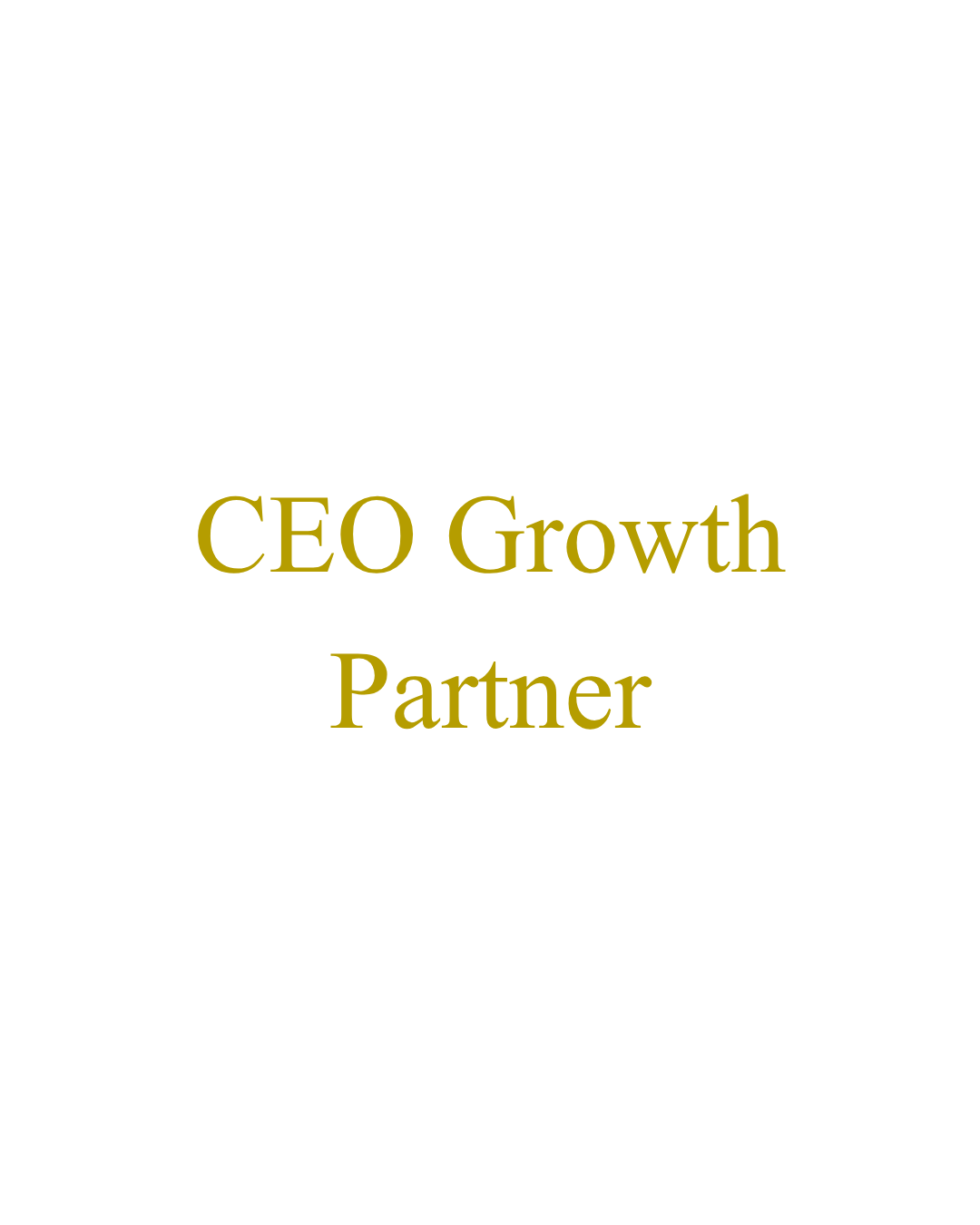 CEO Growth Partner