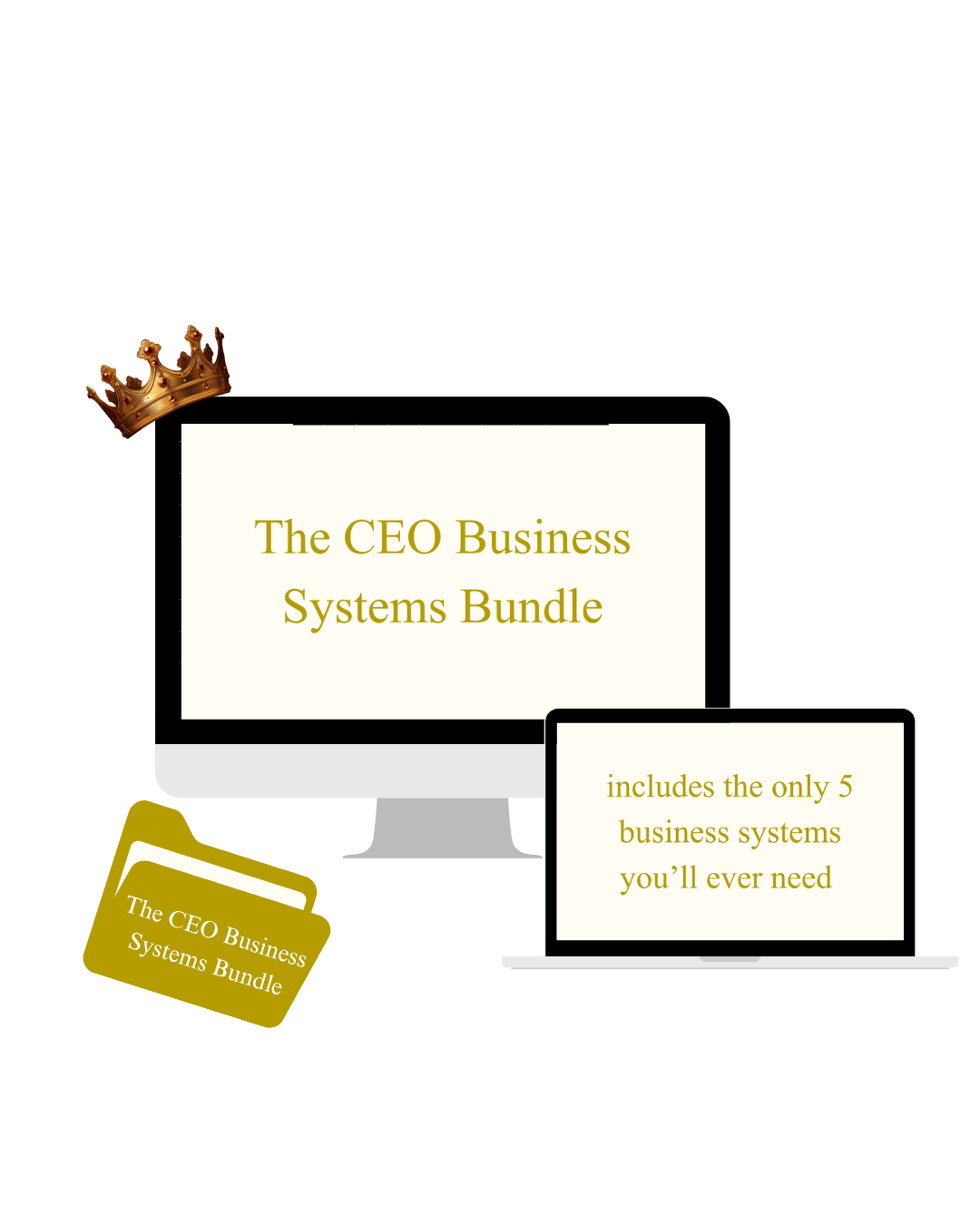 The CEO Business Systems Bundle